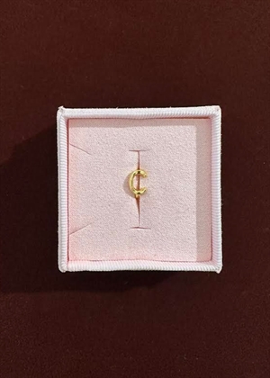 Spelling huggie C Forgyldt Pico 